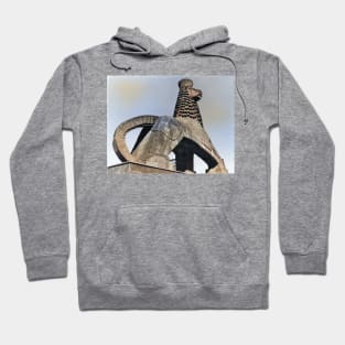 Colorized vintage photo of Lion of Judah Hoodie